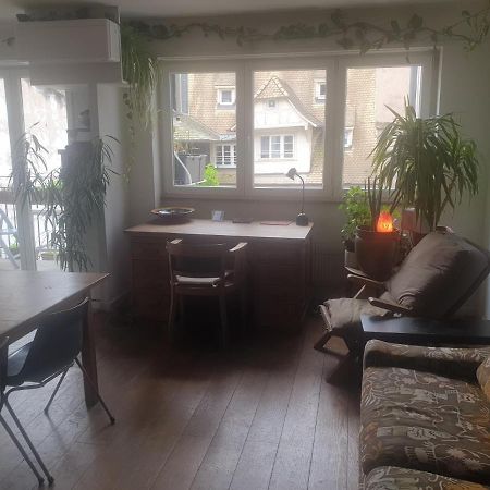 La Puisatiere 80 M2 Apartman Strasbourg Kültér fotó