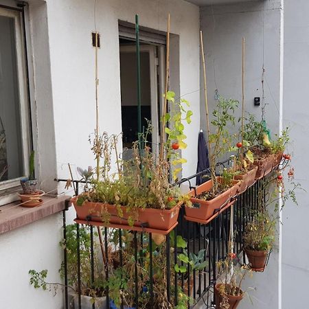 La Puisatiere 80 M2 Apartman Strasbourg Kültér fotó