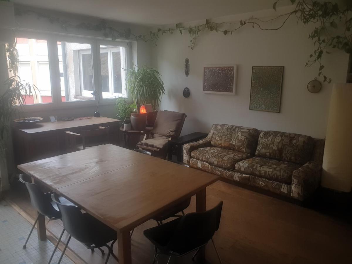 La Puisatiere 80 M2 Apartman Strasbourg Kültér fotó