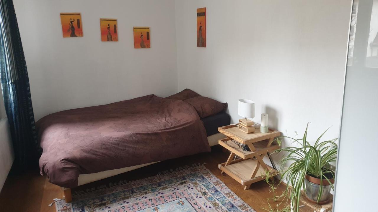 La Puisatiere 80 M2 Apartman Strasbourg Kültér fotó