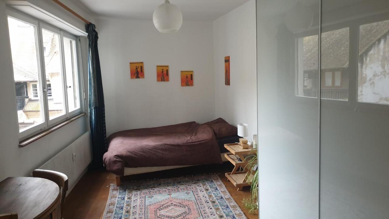 La Puisatiere 80 M2 Apartman Strasbourg Kültér fotó