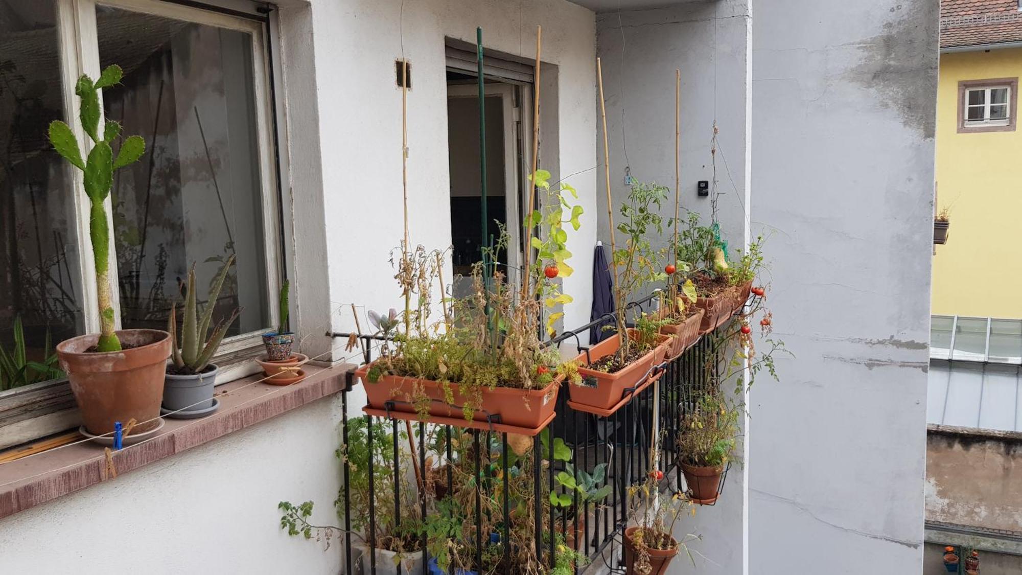 La Puisatiere 80 M2 Apartman Strasbourg Kültér fotó